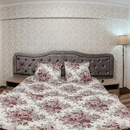 Luxury Radox Center Apartment Buzau